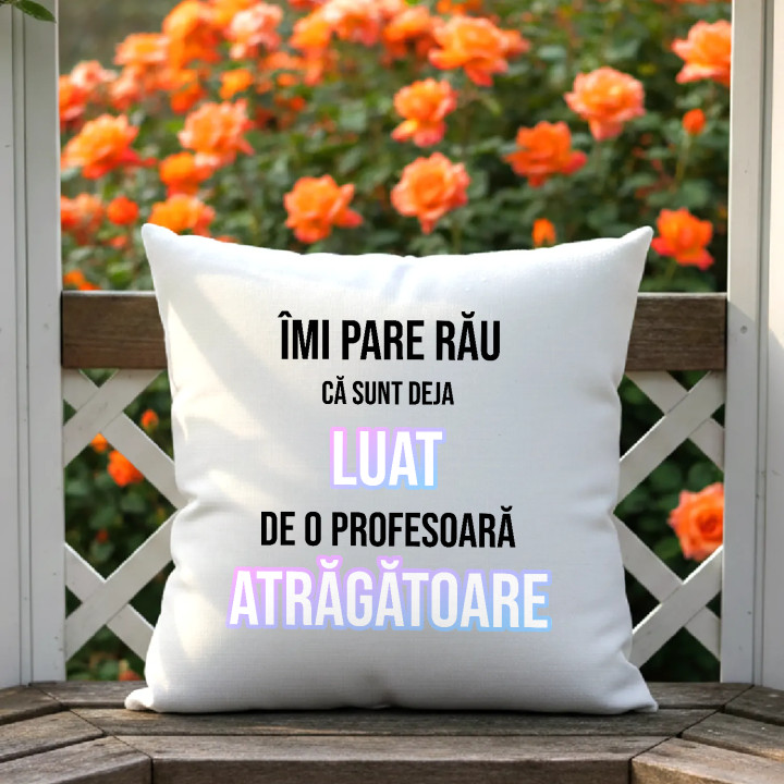 Îmi pare rău că sunt deja luat de o profesoară atrăgătoare - pernă