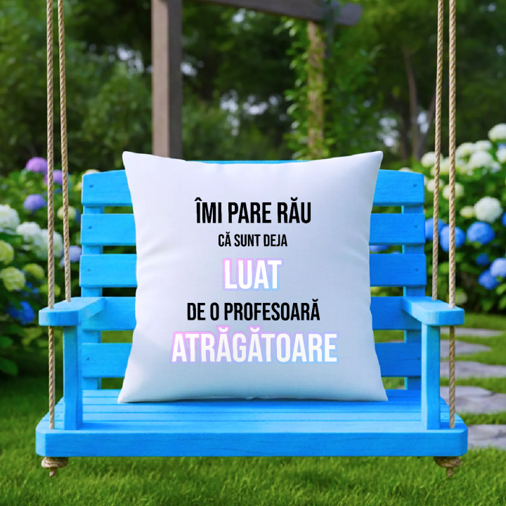 Îmi pare rău că sunt deja luat de o profesoară atrăgătoare - pernă