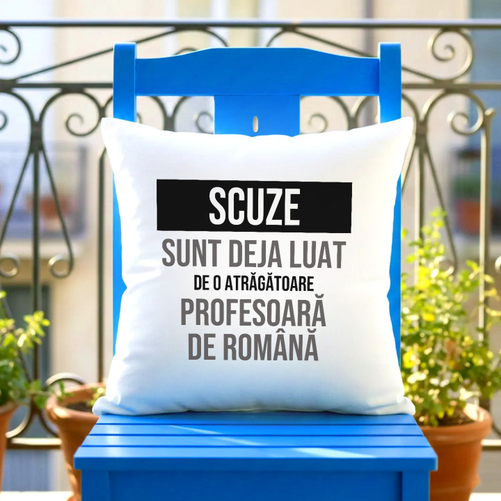 Scuze, sunt deja luat de o atrăgătoare profesoară de română - pernă cadou