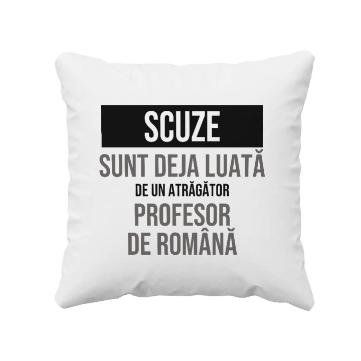 Scuze, sunt deja luată de un atrăgător profesor de română - pernă cadou