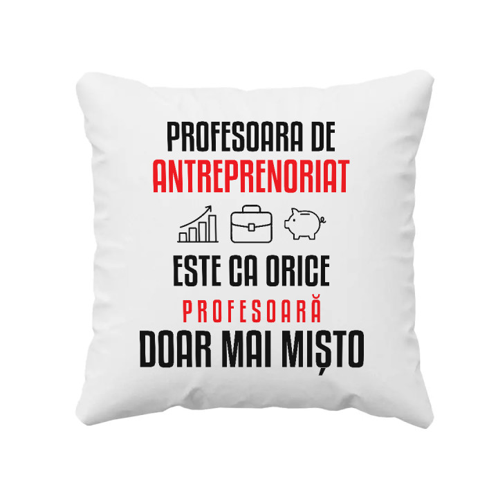 Profesoara de antreprenoriat este ca orice profesoară, doar mai mișto - pernă pentru profesoară