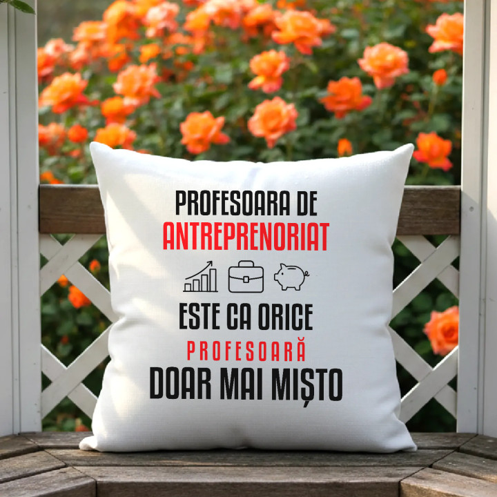 Profesoara de antreprenoriat este ca orice profesoară, doar mai mișto - pernă pentru profesoară