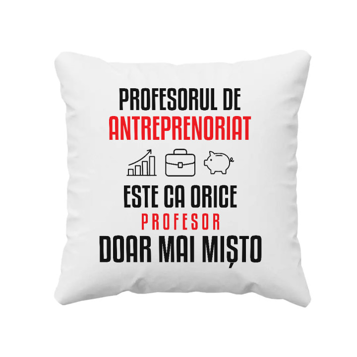 Profesorul de antreprenoriat este ca orice profesor, doar mai mișto - pernă pentru profesor