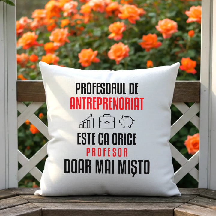 Profesorul de antreprenoriat este ca orice profesor, doar mai mișto - pernă pentru profesor