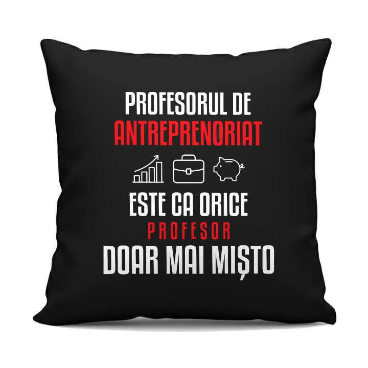 Profesorul de antreprenoriat este ca orice profesor, doar mai mișto - pernă neagră pentru profesor