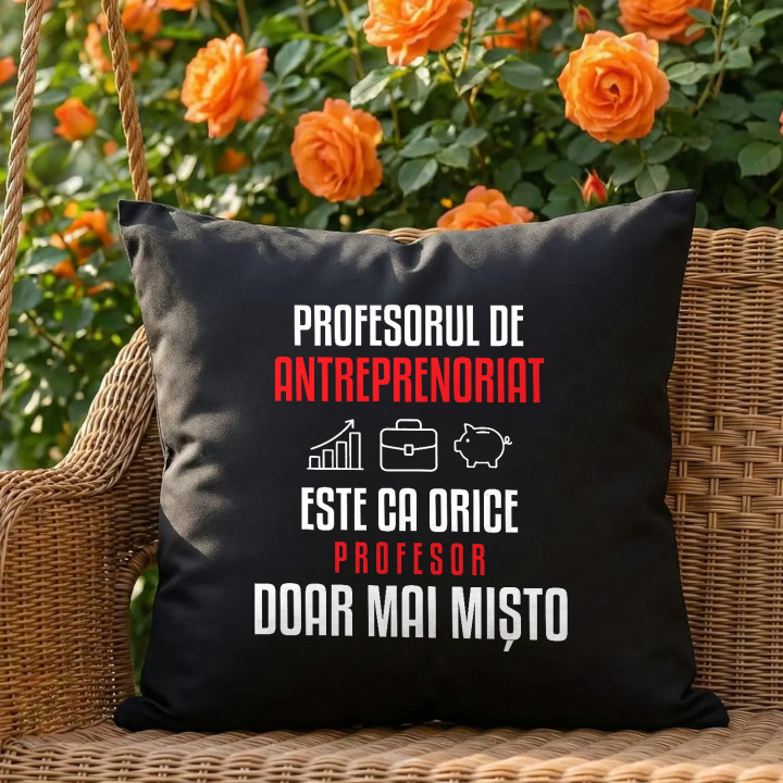 Profesorul de antreprenoriat este ca orice profesor, doar mai mișto - pernă neagră pentru profesor