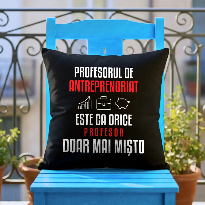 Profesorul de antreprenoriat este ca orice profesor, doar mai mișto - pernă neagră pentru profesor