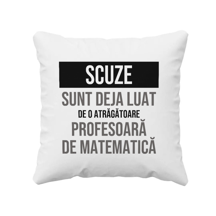 Scuze, sunt deja luat de o atrăgătoare profesoară de matematică - pernă cadou