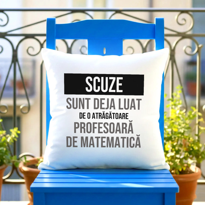 Scuze, sunt deja luat de o atrăgătoare profesoară de matematică - pernă cadou