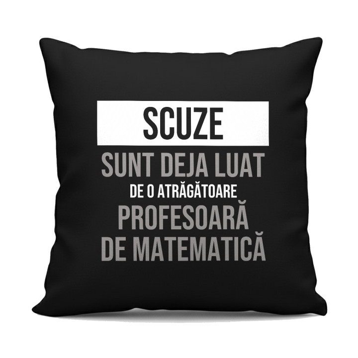 Scuze, sunt deja luat de o atrăgătoare profesoară de matematică - pernă neagră cadou
