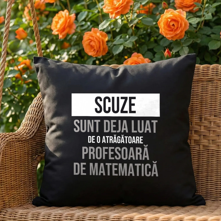 Scuze, sunt deja luat de o atrăgătoare profesoară de matematică - pernă neagră cadou