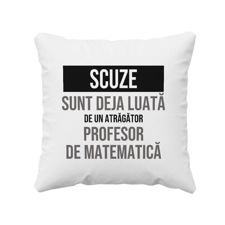 Scuze, sunt deja luată de un atrăgător profesor de matematică - pernă cadou