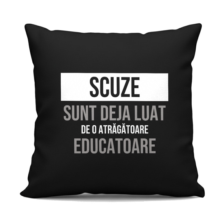 Scuze, sunt deja luat de o atrăgătoare educatoare - pernă neagră cadou