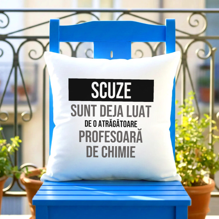 Scuze, sunt deja luat de o atrăgătoare profesoară de chimie - pernă cadou