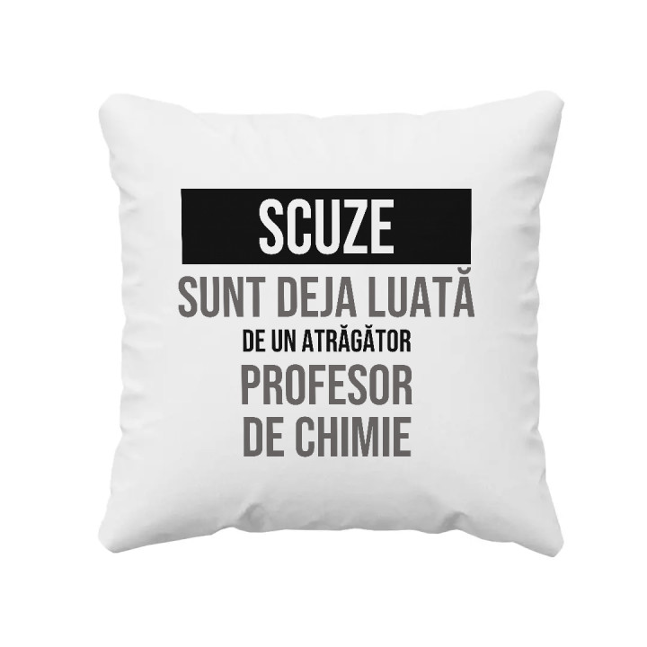 Scuze, sunt deja luată de un atrăgător profesor de chimie - pernă cadou