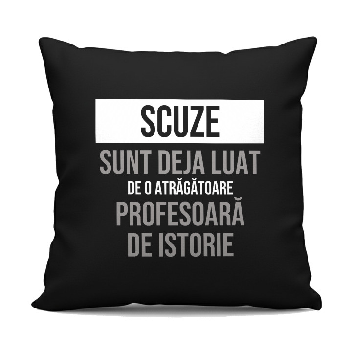 Scuze, sunt deja luat de o atrăgătoare profesoară de istorie - pernă neagră cadou