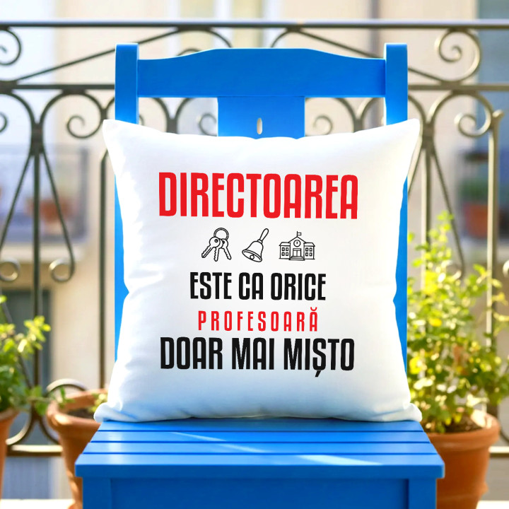 Directoarea este ca orice profesoară, doar mai mișto - pernă pentru profesoară
