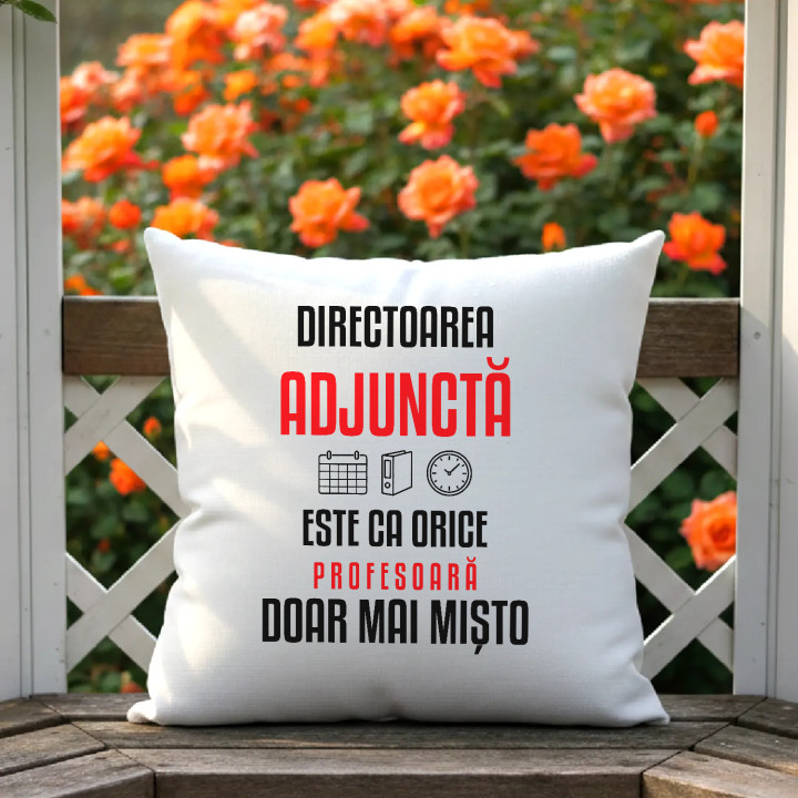 Directoarea adjunctă este ca orice profesoară, doar mai mișto - pernă pentru profesoară