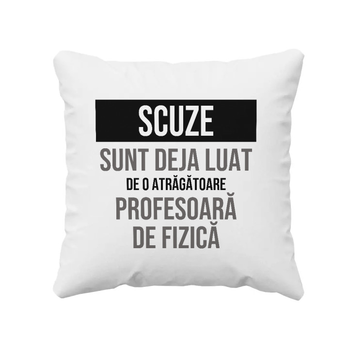 Scuze, sunt deja luat de o atrăgătoare profesoară de fizică - pernă cadou