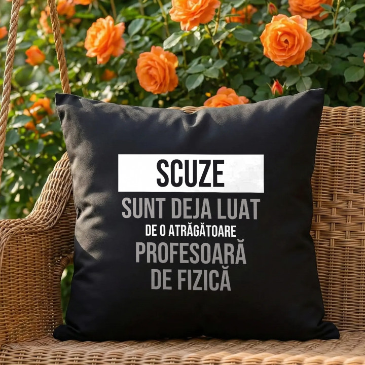 Scuze, sunt deja luat de o atrăgătoare profesoară de fizică - pernă neagră cadou
