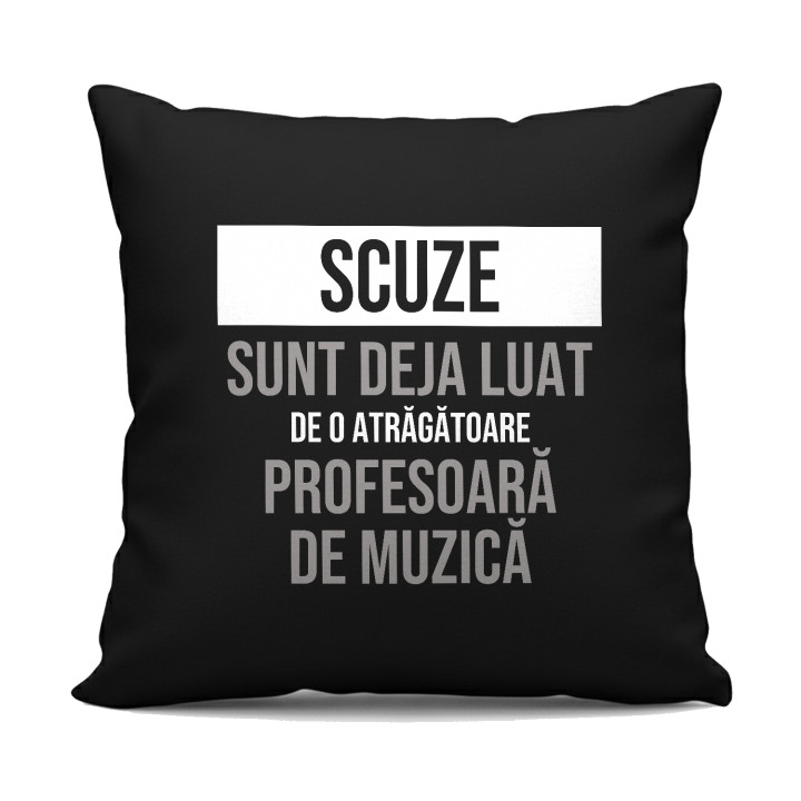 Scuze, sunt deja luat de o atrăgătoare profesoară de muzică - pernă neagră cadou