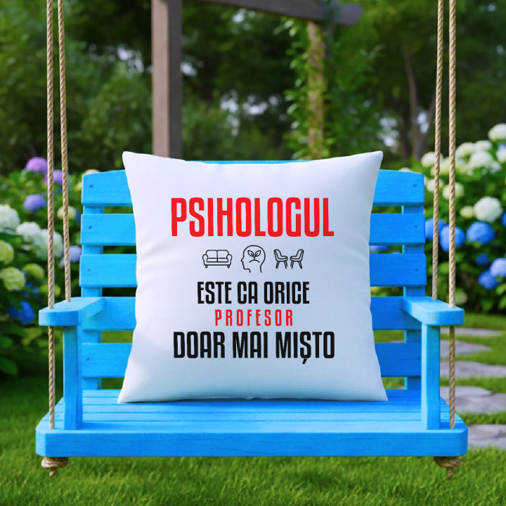 Psihologul este ca orice profesor, doar mai mișto - pernă pentru profesor