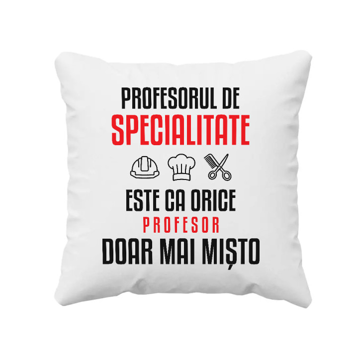 Profesorul de specialitate este ca orice profesor, doar mai mișto - pernă pentru profesor