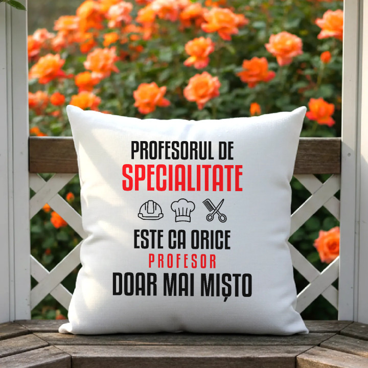 Profesorul de specialitate este ca orice profesor, doar mai mișto - pernă pentru profesor
