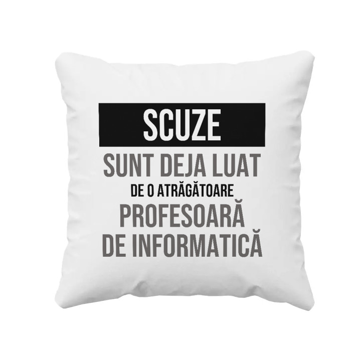 Scuze, sunt deja luat de o atrăgătoare profesoară de informatică - pernă cadou