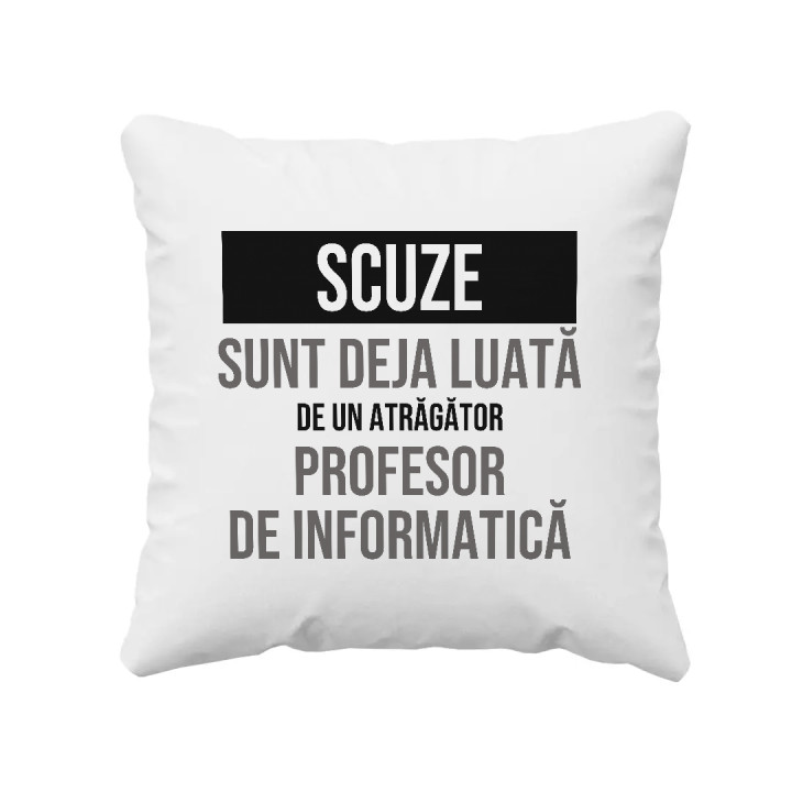 Scuze, sunt deja luată de un atrăgător profesor de informatică - pernă cadou