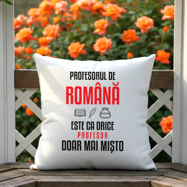 Profesorul de română este ca orice profesor, doar mai mișto - pernă pentru profesor