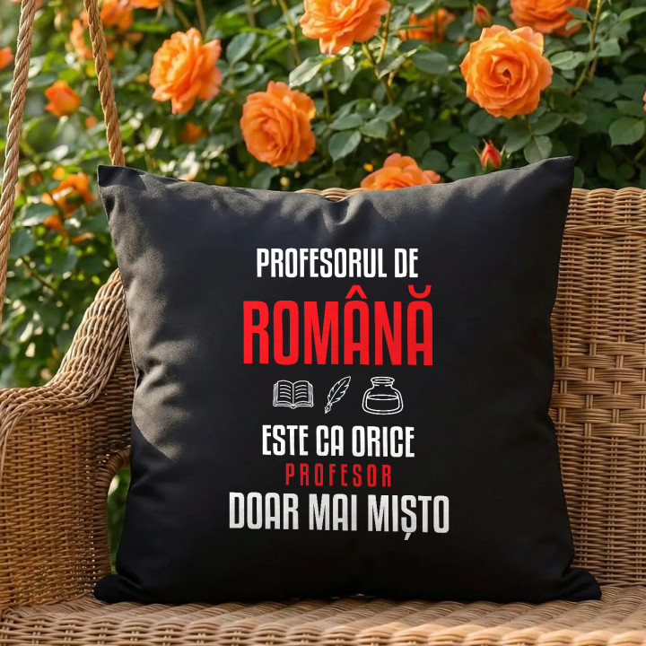 Profesorul de română este ca orice profesor, doar mai mișto - pernă neagră pentru profesor