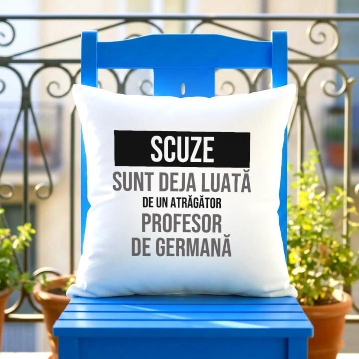 Scuze, sunt deja luată de un atrăgător profesor de germană - pernă cadou