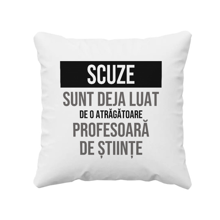 Scuze, sunt deja luat de o atrăgătoare profesoară de științe - pernă cadou