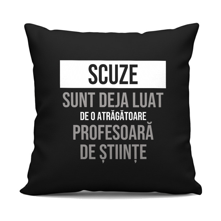 Scuze, sunt deja luat de o atrăgătoare profesoară de științe - pernă neagră cadou