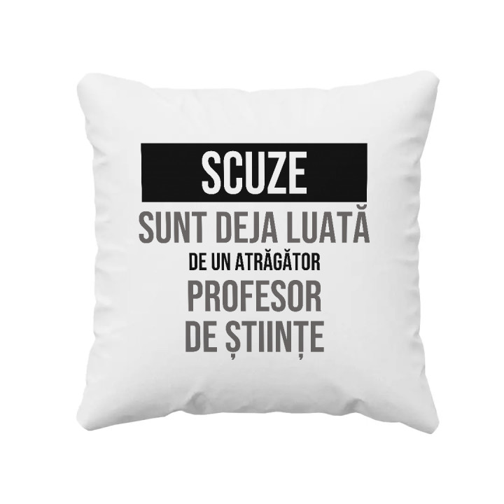 Scuze, sunt deja luată de un atrăgător profesor de științe - pernă cadou
