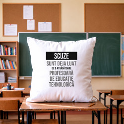 Scuze, sunt deja luat de o atrăgătoare profesoară de educație tehnologică - pernă cadou