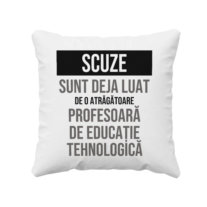 Scuze, sunt deja luat de o atrăgătoare profesoară de educație tehnologică - pernă cadou