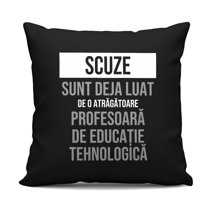 Scuze, sunt deja luat de o atrăgătoare profesoară de educație tehnologică - pernă neagră cadou