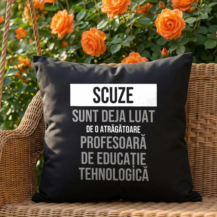 Scuze, sunt deja luat de o atrăgătoare profesoară de educație tehnologică - pernă neagră cadou