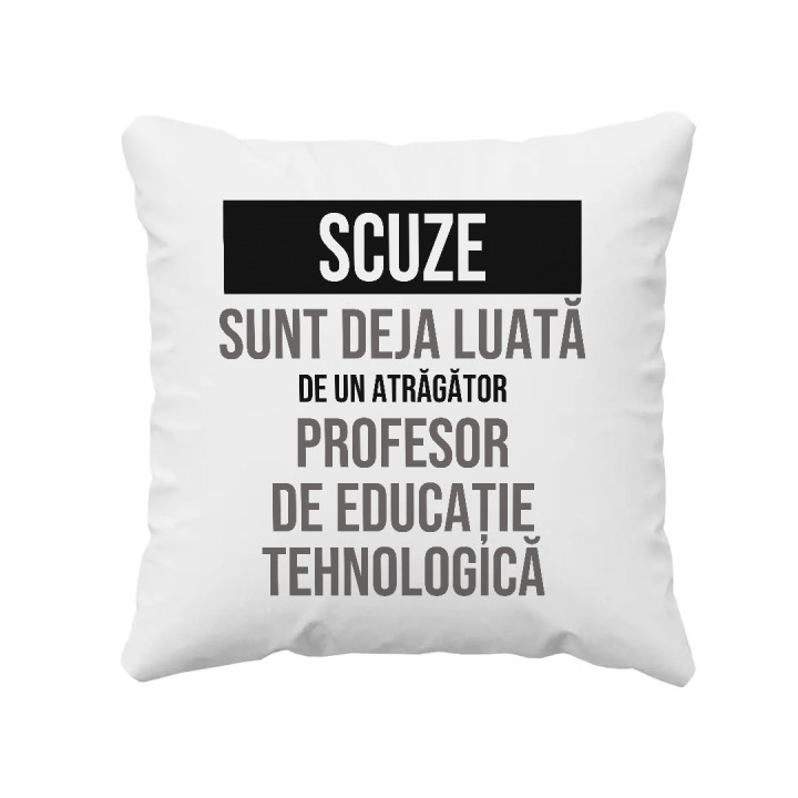 Scuze, sunt deja luată de un atrăgător profesor de educație tehnologică - pernă cadou