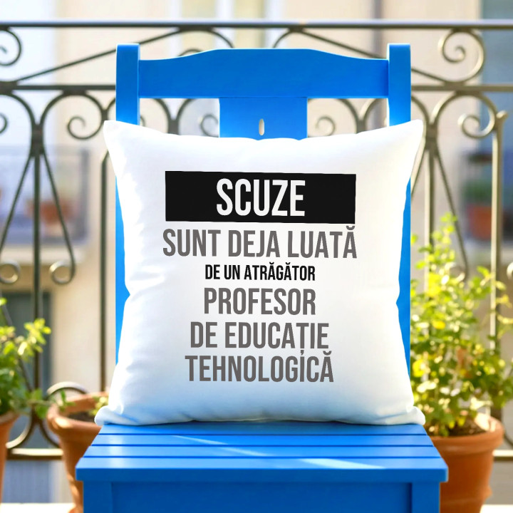 Scuze, sunt deja luată de un atrăgător profesor de educație tehnologică - pernă cadou