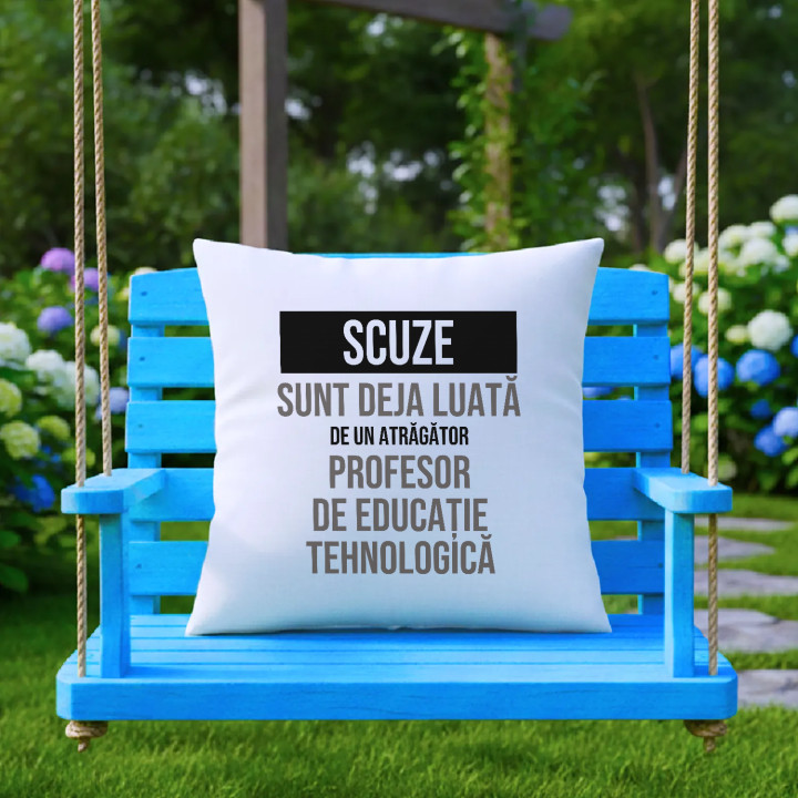 Scuze, sunt deja luată de un atrăgător profesor de educație tehnologică - pernă cadou
