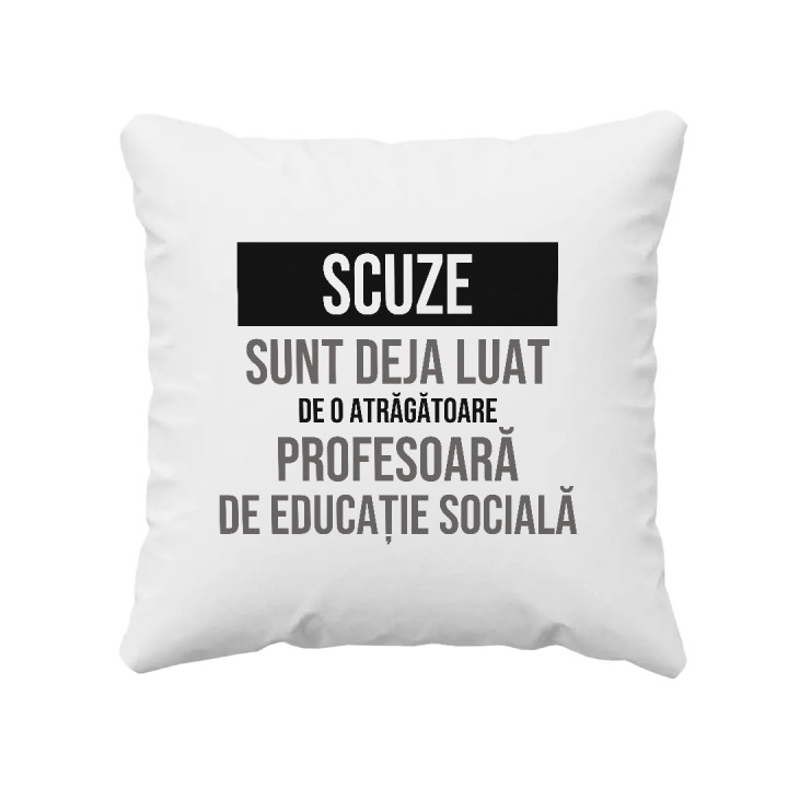Scuze, sunt deja luat de o atrăgătoare profesoară de educație socială - pernă cadou