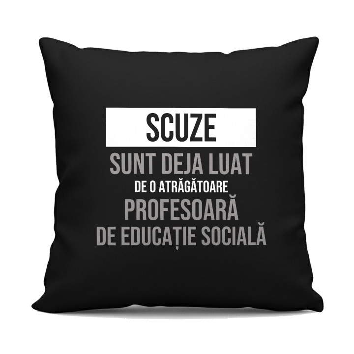 Scuze, sunt deja luat de o atrăgătoare profesoară de educație socială - pernă neagră cadou