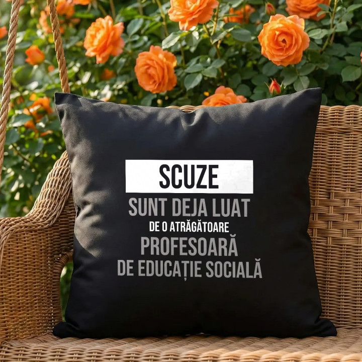 Scuze, sunt deja luat de o atrăgătoare profesoară de educație socială - pernă neagră cadou