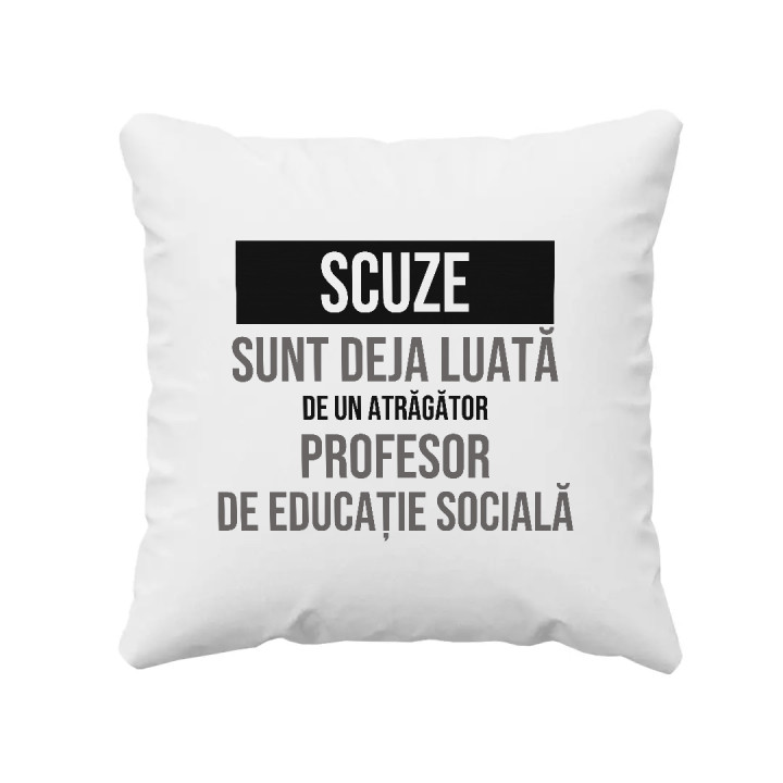 Scuze, sunt deja luată de un atrăgător profesor de educație socială - pernă cadou
