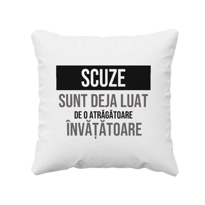 Scuze, sunt deja luat de o atrăgătoare învățătoare - pernă cadou