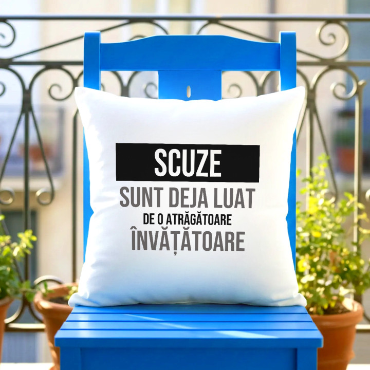 Scuze, sunt deja luat de o atrăgătoare învățătoare - pernă cadou