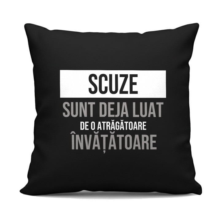 Scuze, sunt deja luat de o atrăgătoare învățătoare - pernă neagră cadou